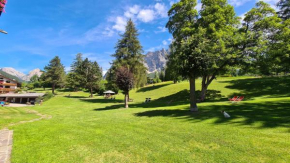 Отель Hotel Menardi  Кортина-Д'ампеццо